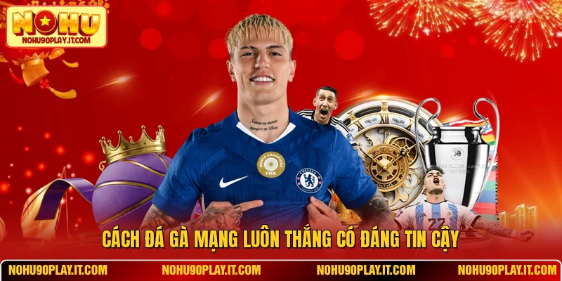 Cách đá gà mạng luôn thắng có đáng tin cậy