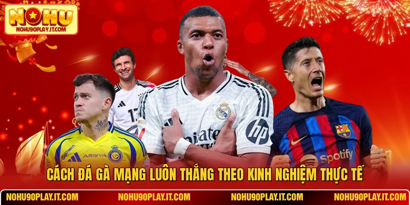 Cách Đá Gà Mạng Luôn Thắng Theo Kinh Nghiệm Thực Tế