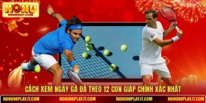 Cách Xem Ngày Gà Đá Theo 12 Con Giáp Chính Xác Nhất