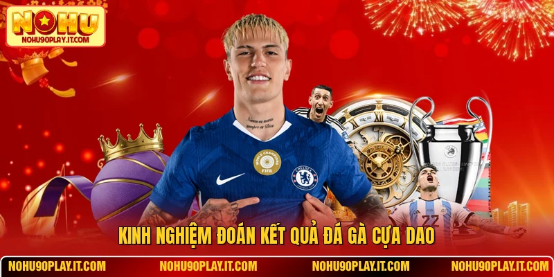 Kinh nghiệm đoán kết quả đá gà cựa dao