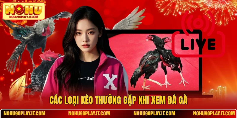 Các loại kèo thường gặp khi xem đá gà