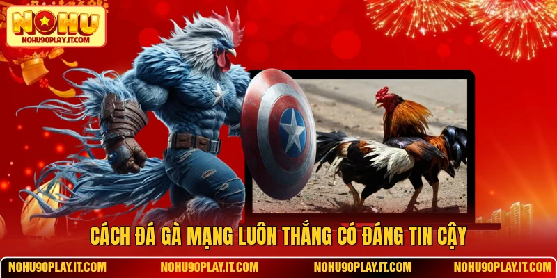 Cách đá gà mạng luôn thắng có đáng tin cậy