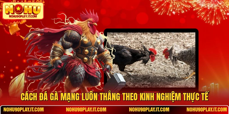 Cách Đá Gà Mạng Luôn Thắng Theo Kinh Nghiệm Thực Tế