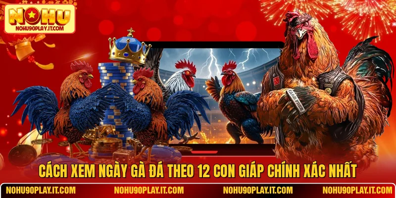 Cách Xem Ngày Gà Đá Theo 12 Con Giáp Chính Xác Nhất