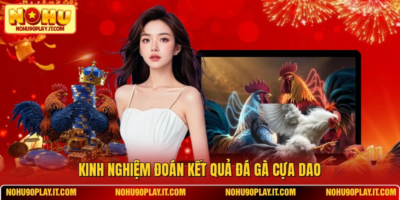 Kinh nghiệm đoán kết quả đá gà cựa dao