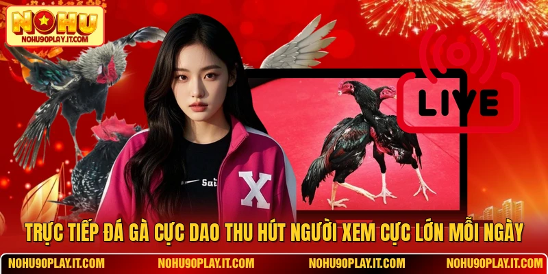 Trực Tiếp Đá Gà cựa dao Thu Hút Người Xem Cực Lớn Mỗi Ngày